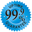 99.9% Uptime Guarantee